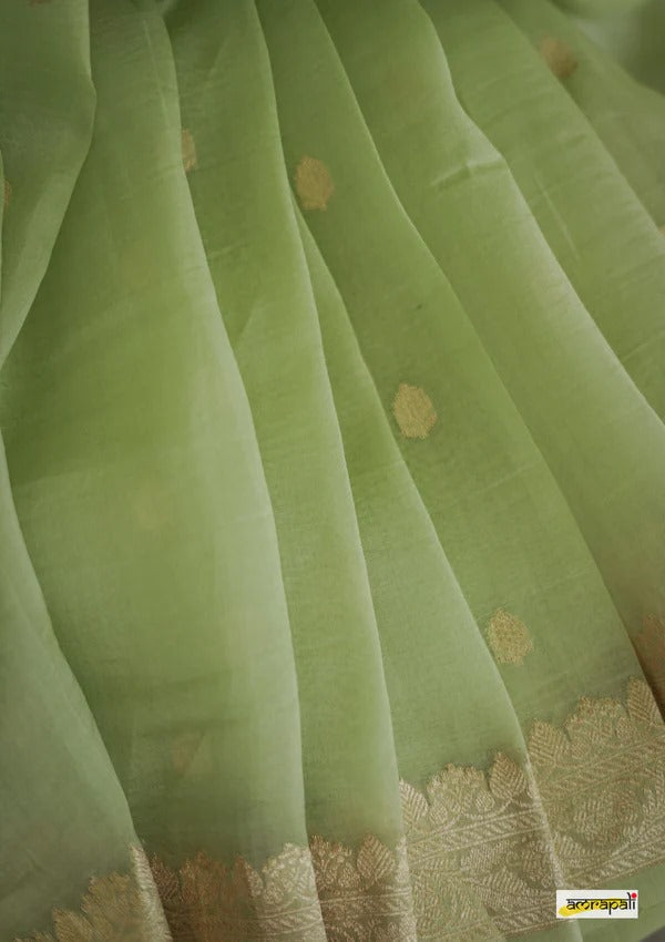 Women's  Light Green Silk Saree with Golden Zari Border