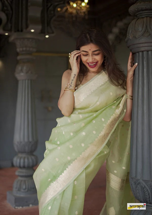Women's  Light Green Silk Saree with Golden Zari Border