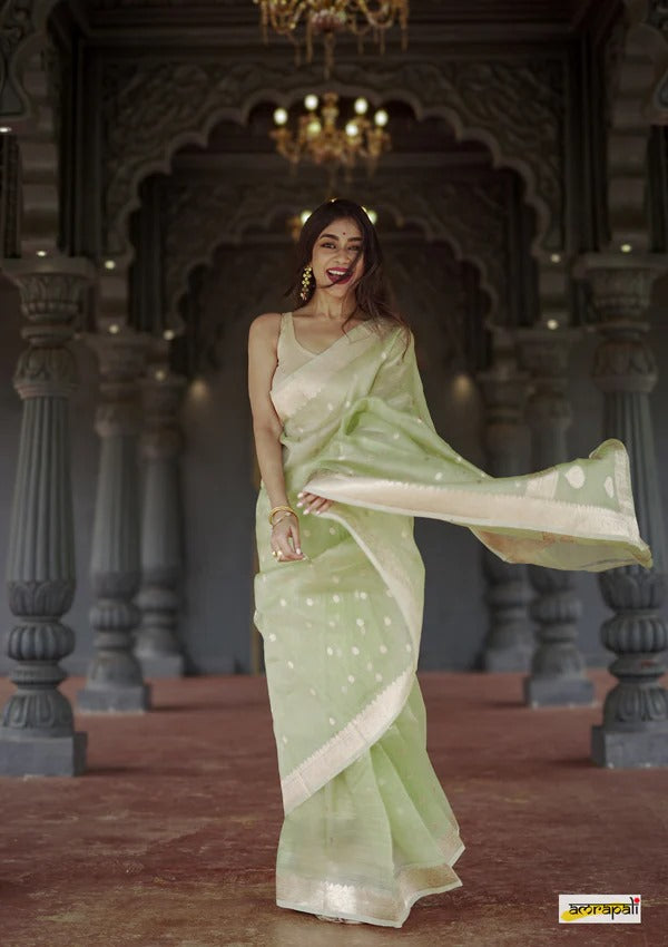 Women's  Light Green Silk Saree with Golden Zari Border